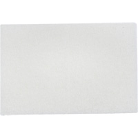 Tampons manuels Bear-Tex, Non abrasif, 9" x 6" Advanced Consulting and Training Ltd.