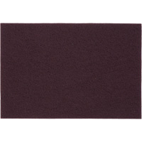 Tampons manuels Bear-Tex, Oxyde d'aluminium, 6" x 9", Grain Tr&egrave;s fin Advanced Consulting and Training Ltd.