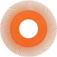 Scotch-Brite Type C Precision Radial Bristle Brush PN-RB without Adapter, Ceramic, 80+ Grit, 6" Dia. Advanced Consulting and Training Ltd.
