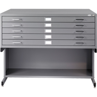 Steel Plan Files, 5 Drawers, 53-3/8" W x 41-3/8" D x 16-1/2" H Advanced Consulting and Training Ltd.
