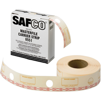 Carrier Strips - Film Advanced Consulting and Training Ltd.