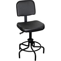 6000 Series Stool with Back, Stationary, Adjustable Height, 250 lbs. Capacity Advanced Consulting and Training Ltd.
