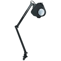Lampe de travail avec loupe, 60 W, Fluorescent/Incandescente/DEL, Pince, Col 40", Noir Advanced Consulting and Training Ltd.