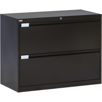 Lateral Filing Cabinet, Steel, 2 Drawers, 36" W x 18" D x 27-7/8" H, Black Advanced Consulting and Training Ltd.