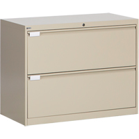 Lateral Filing Cabinet, Steel, 2 Drawers, 36" W x 18" D x 27-7/8" H, Beige Advanced Consulting and Training Ltd.