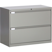Lateral Filing Cabinet, Steel, 2 Drawers, 36" W x 18" D x 27-7/8" H, Grey Advanced Consulting and Training Ltd.