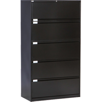 Lateral Filing Cabinet, Steel, 5 Drawers, 36" W x 18" D x 65-1/2" H, Black Advanced Consulting and Training Ltd.
