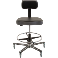 TF160 Industrial Grade Ergonomic Chair, Mobile, Adjustable Height, 300 lbs. Capacity Advanced Consulting and Training Ltd.