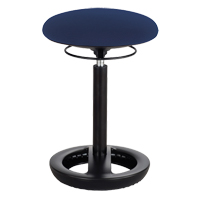 Twixt Ergonomic Chair, Stationary, Adjustable Height, 250 lbs. Capacity Advanced Consulting and Training Ltd.