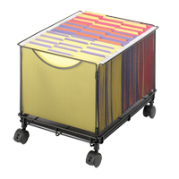 Onyx File Cart Advanced Consulting and Training Ltd.