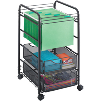 Onyx File Cart Advanced Consulting and Training Ltd.