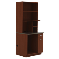 Modular Cabinet, Melamine, 39" H x 36" W x 25" D, Mahogany Advanced Consulting and Training Ltd.