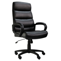 Chaise de bureau Activ s&eacute;rie A-601, Polyur&eacute;thane, Noir, Capacit&eacute; 275 lb Advanced Consulting and Training Ltd.