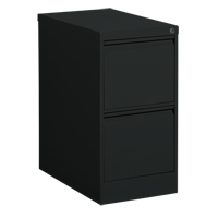 Classeur vertical, Acier, 2 tiroirs, 15-1/7" la x 25" p x 29" h, Noir Advanced Consulting and Training Ltd.