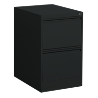 Classeur vertical, Acier, 2 tiroirs, 18-1/7" la x 25" p x 29" h, Noir Advanced Consulting and Training Ltd.