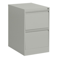 Classeur vertical, Acier, 2 tiroirs, 18-1/7" la x 25" p x 29" h, Gris Advanced Consulting and Training Ltd.