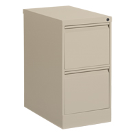 Classeur vertical, Acier, 2 tiroirs, 15-1/7" la x 25" p x 29" h, Beige Advanced Consulting and Training Ltd.