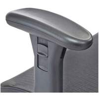 Economical Big & Tall Chair, Mesh, Black, 450 lbs. Capacity Advanced Consulting and Training Ltd.