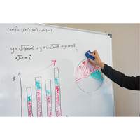 Whiteboard Eraser Advanced Consulting and Training Ltd.