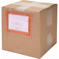 Pouch Tape Systems, 3149-61/100" L x 4-24/25" W Advanced Consulting and Training Ltd.