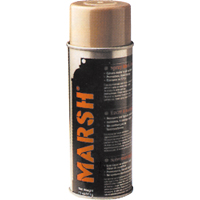 Peintures pour couvrir, Havane, 11 oz, Canette a&eacute;rosol Advanced Consulting and Training Ltd.