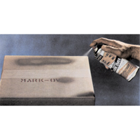 Peintures pour couvrir, Havane, 11 oz, Canette a&eacute;rosol Advanced Consulting and Training Ltd.