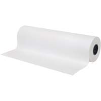 Papier, Papier journal, 12" x 1695', 30 lb, Rouleau Advanced Consulting and Training Ltd.