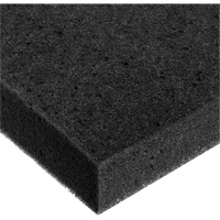 Feuille de mousse, Standard, &eacute;paisseur 2", 108" lo x 24" la Advanced Consulting and Training Ltd.