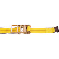 Ratchet Straps, Flat Hook, 4" W x 30' L, 5400 lbs. (2450 kg) Working Load Limit Advanced Consulting and Training Ltd.