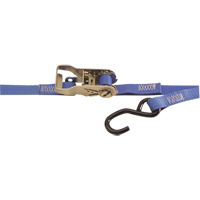Heavy-Duty Utility Straps, S-Hook, 1" W x 15' L, 500 lbs. (230 kg) Working Load Limit Advanced Consulting and Training Ltd.
