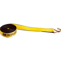 Winch Straps, Wire Hook, 2" W x 30' L, 1670 lbs. (751 kg) Working Load Limit Advanced Consulting and Training Ltd.