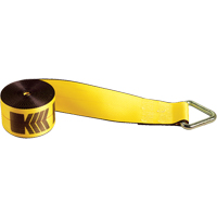Winch Straps, Delta Ring, 4" W x 30' L, 5400 lbs. (2450 kg) Working Load Limit Advanced Consulting and Training Ltd.