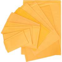 Enveloppes postales coussin&eacute;es, Kraft, 6" la x 10" lo Advanced Consulting and Training Ltd.