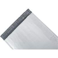 Enveloppe postale coussin&eacute;e, Poly&eacute;thyl&egrave;ne, 10-1/2" la x 16" lo Advanced Consulting and Training Ltd.