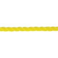 Corde jaune tress&eacute;e 1/4", Polypropyl&egrave;ne, 1300' Advanced Consulting and Training Ltd.