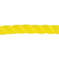 Corde jaune tress&eacute;e 1/2", Polypropyl&egrave;ne, 335' Advanced Consulting and Training Ltd.