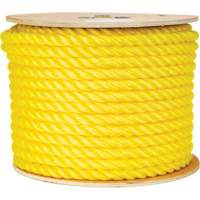 Corde jaune tress&eacute;e 5/8", Polypropyl&egrave;ne, 200' Advanced Consulting and Training Ltd.