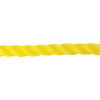 Corde jaune tress&eacute;e 5/8", Polypropyl&egrave;ne, 200' Advanced Consulting and Training Ltd.