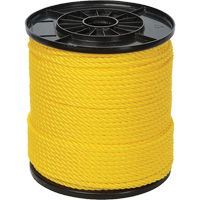 Corde torsad&eacute;e jaune &agrave; trois brins 1/4", Polypropyl&egrave;ne, 550' Advanced Consulting and Training Ltd.