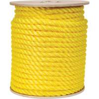 Corde jaune tress&eacute;e, Polypropyl&egrave;ne, 300' Advanced Consulting and Training Ltd.