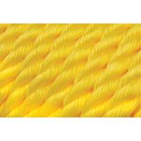 Corde jaune tress&eacute;e, Polypropyl&egrave;ne, 300' Advanced Consulting and Training Ltd.