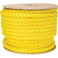Corde jaune tress&eacute;e, Polypropyl&egrave;ne, 144' Advanced Consulting and Training Ltd.