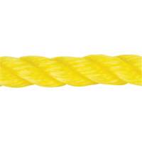 Corde jaune tress&eacute;e, Polypropyl&egrave;ne, 144' Advanced Consulting and Training Ltd.