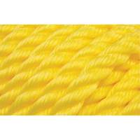 Corde jaune tress&eacute;e, Polypropyl&egrave;ne, 144' Advanced Consulting and Training Ltd.