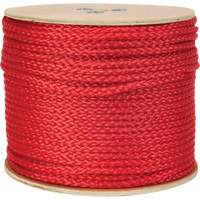 Corde rouge tress&eacute;e, Polypropyl&egrave;ne, 500' Advanced Consulting and Training Ltd.