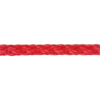 Corde rouge tress&eacute;e, Polypropyl&egrave;ne, 500' Advanced Consulting and Training Ltd.