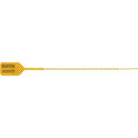 Standard-Duty Security Seal, 9", Plastic, Pull-Through Advanced Consulting and Training Ltd.