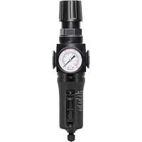 Filtre/r&eacute;gulateur drain manuel avec bol en m&eacute;tal Modulair 300, 1/4" NPT, 250 PSI, Capacit&eacute; de 5,1 oz liq. Advanced Consulting and Training Ltd.