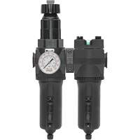 Filtre/r&eacute;gulateur + filtre coalescent drain manuel avec bol en m&eacute;tal Modulair 400, 1/4" NPT, 200 psi, Capacit&eacute; de 9,1 oz liq. Advanced Consulting and Training Ltd.