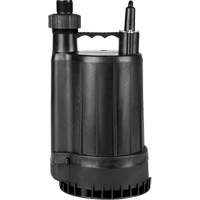 Pompe utilitaire en thermoplastique, 115 V, 2200 gal/h, 1/4 CV Advanced Consulting and Training Ltd.